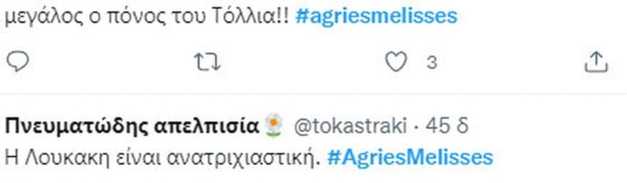 Άγριες Μέλισσες - Twitter