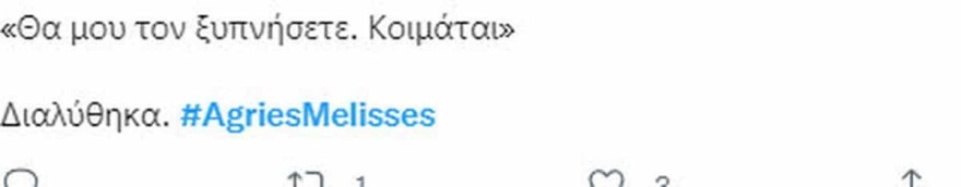 Άγριες Μέλισσες - Συγκίνηση με την Παγώνα