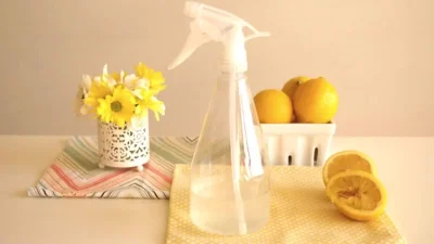 Για να μην χαλάς τσάμπα τα λεφτά σου: Χρησιμοποίησε το λεμόνι για αρωματικού χώρου - Θα μοσχομυρίσει όλο το σπίτι