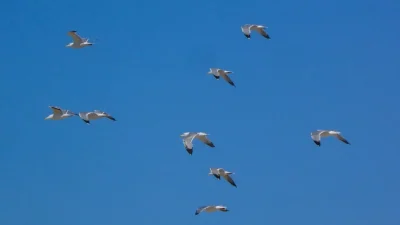 Καιρός (27/6): Σε υψηλά επίπεδα και σήμερα ο υδράργυρος - Μέχρι πού θα φτάσει η θερμοκρασία