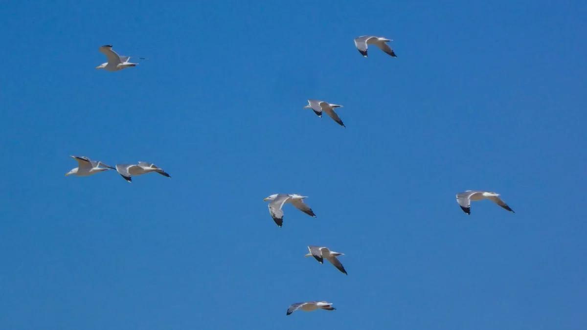 Καιρός (27/6): Σε υψηλά επίπεδα και σήμερα ο υδράργυρος - Μέχρι πού θα φτάσει η θερμοκρασία