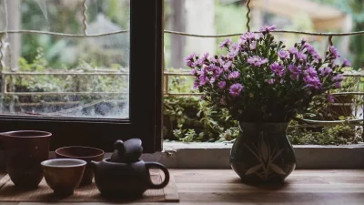 Προσοχή: Κάποια προκαλούν μέχρι και ανακοπή καρδιάς - Tα 7 επικίνδυνα φυτά που μπορεί να έχετε στο σπίτι