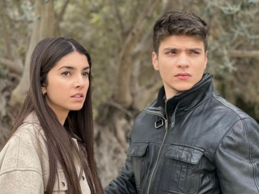 Γη της Ελιάς