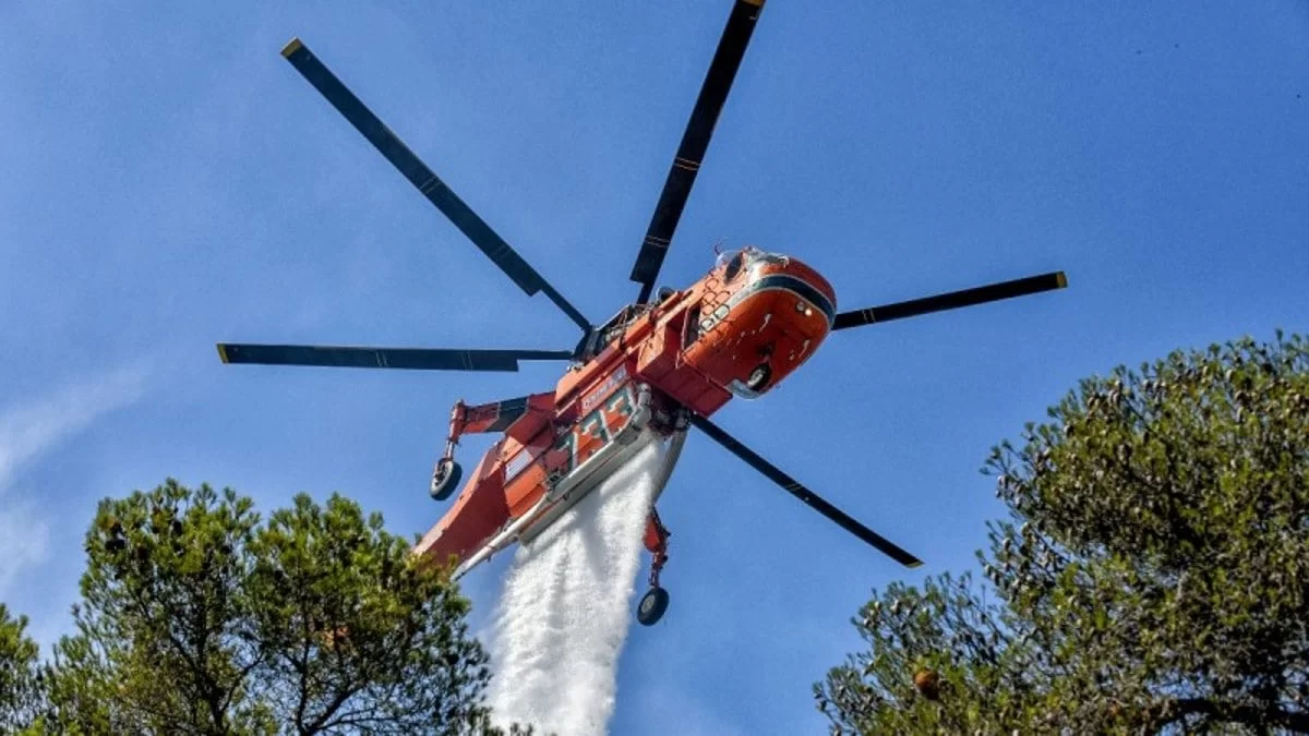 Φωτιά τώρα στην Εύβοια