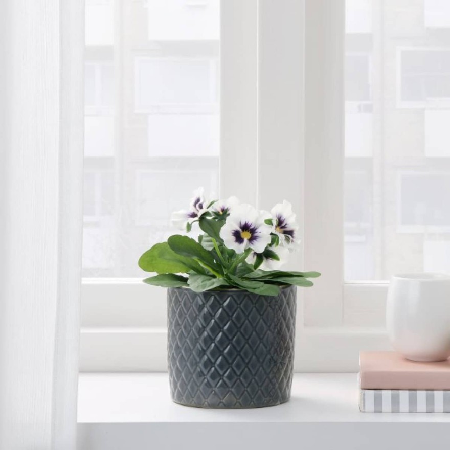 Το ιδανικό φυτό για τον χώρο σας από τα ΙΚΕΑ 