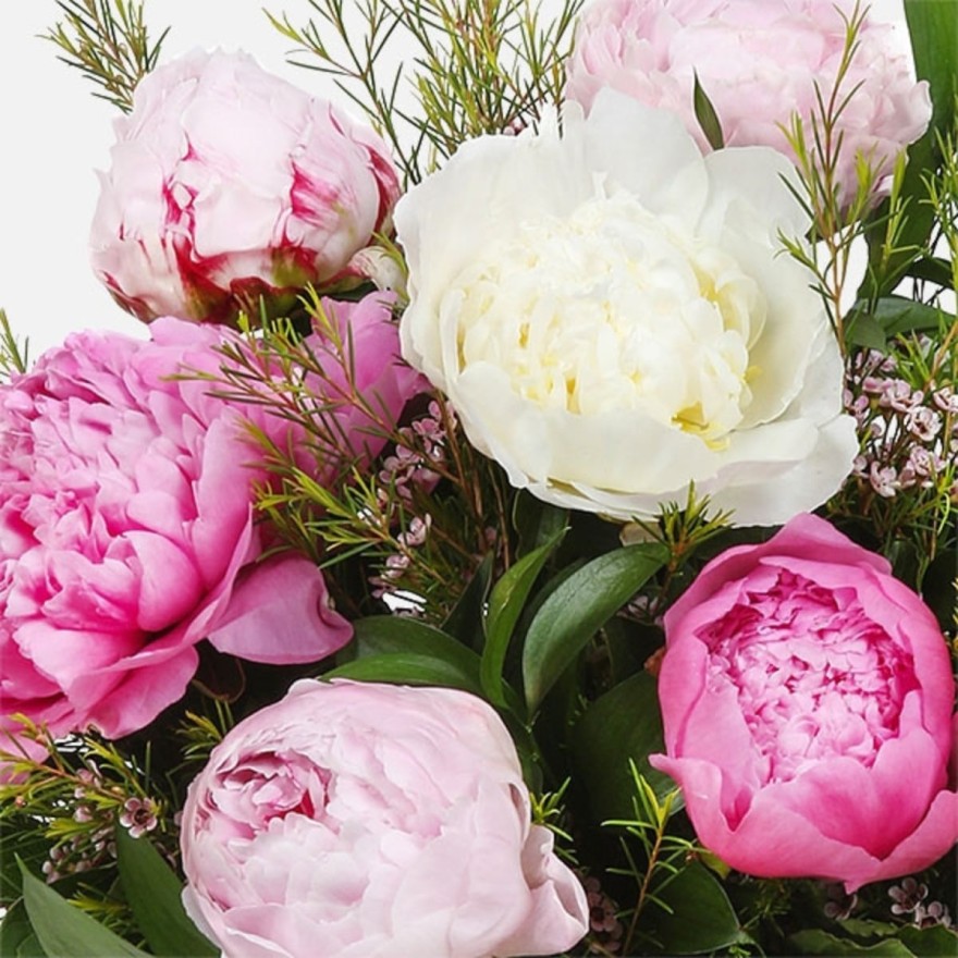 Τα 3 φυτά που βοηθούν στο άγχος