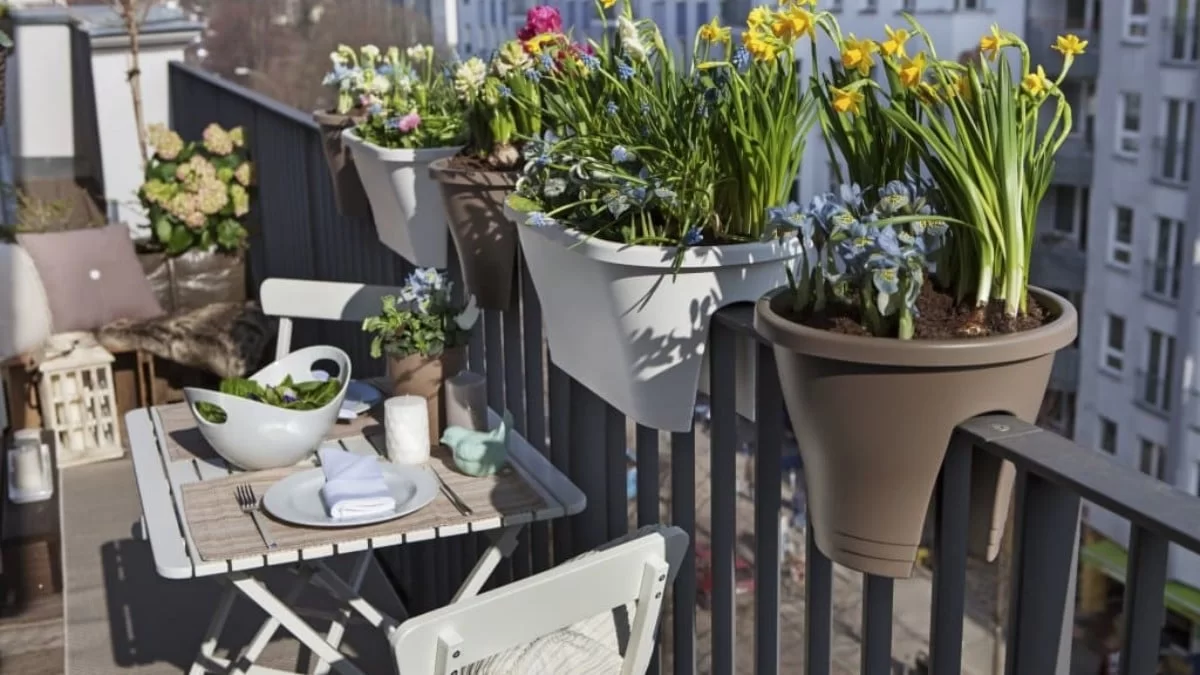 Είναι μόνο τρία αλλά κάνουν θαύματα - Τα φυτά που διώχνουν μακριά τα κουνούπια