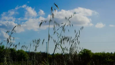 Γενικά αίθριος ο καιρός σήμερα 7/6 - Σποραδικές βροχές και καταιγίδες