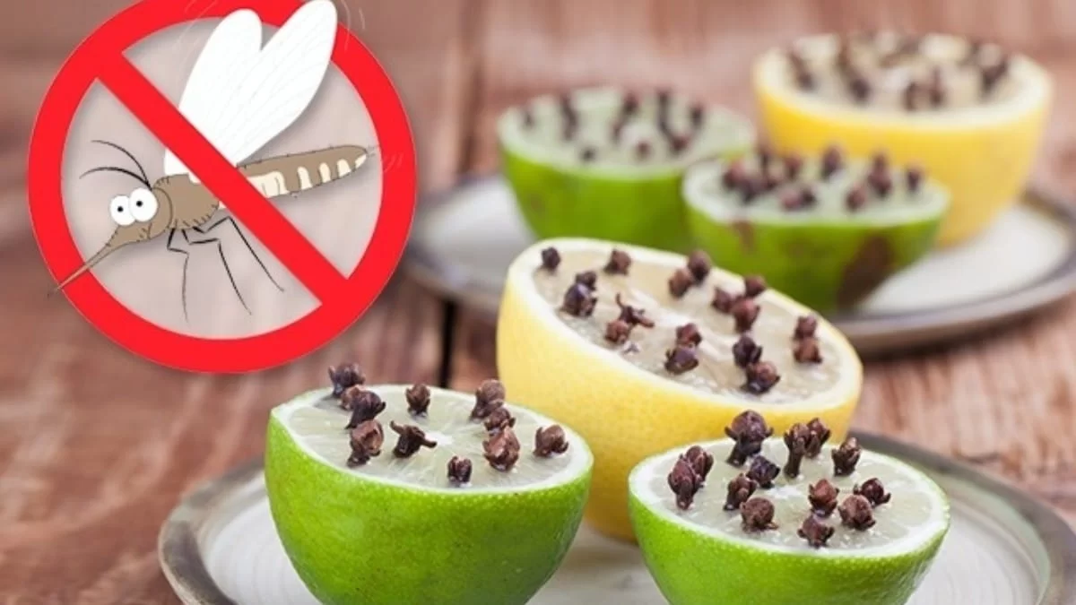 Δεν θα σας πλησιάζουν καν: Απαλλαχτείτε οριστικά από τα έντομα του καλοκαιριού χρησιμοποιώντας λεμόνι