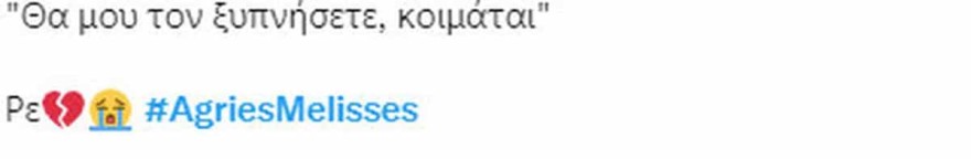 Άγριες Μέλισσες - Θάνατος