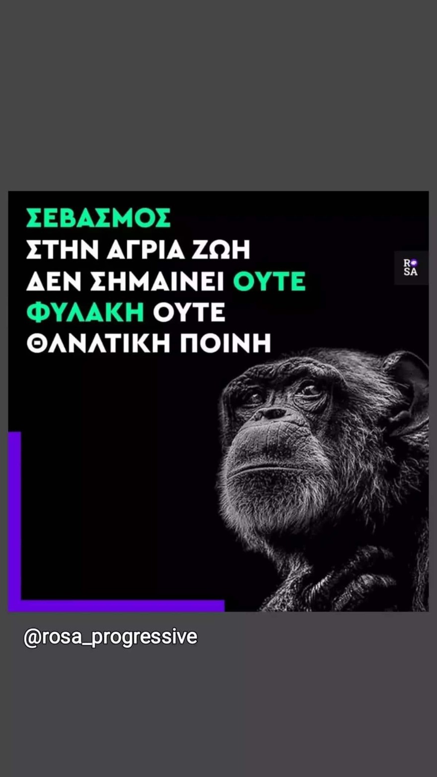 Έλενα Χριστοπούλου Αττικό Πάρκο