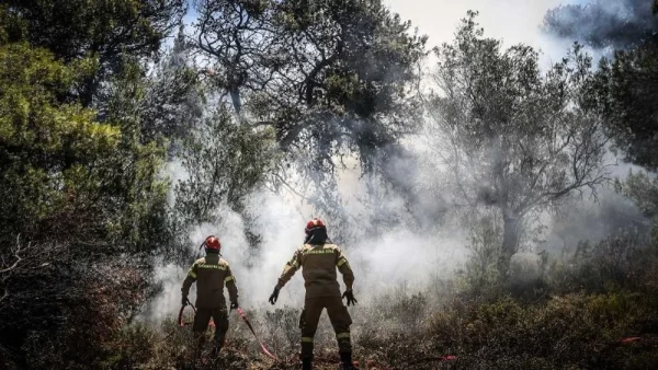 Φωτιά στην Πεντέλη: «Μας έσωσε μια...» - Συγκλονιστικές μαρτυρίες ανθρώπων