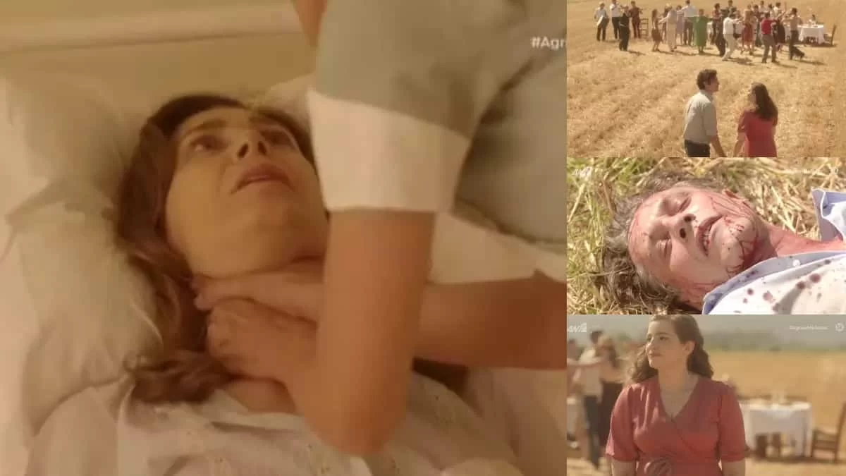 Άγριες Μέλισσες: «Σε εκείνη την τελευταία ανάσα...» - Το ιδιόχειρο σημείωμα των δημιουργών για το τέλος της σειράς