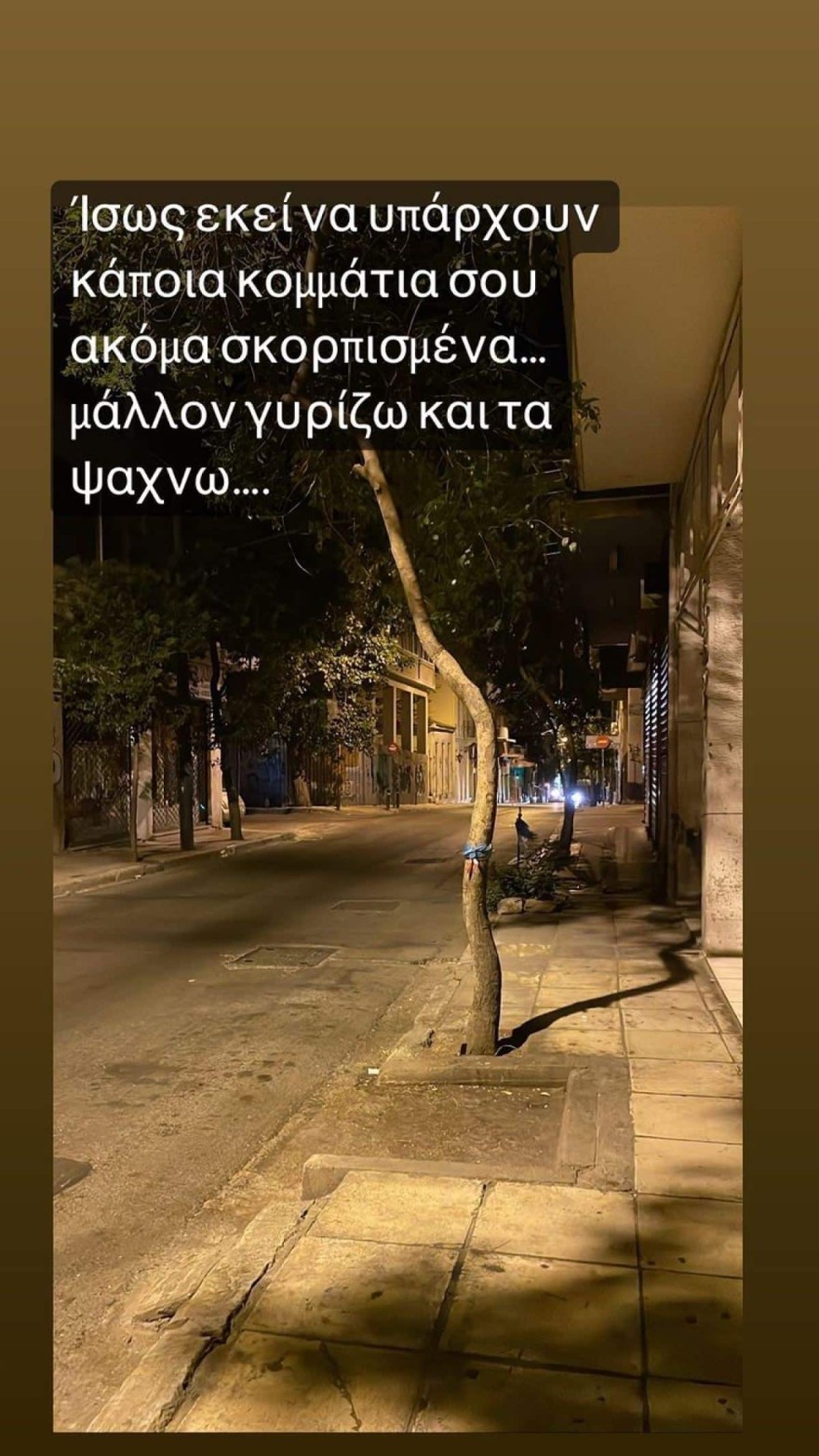 Σύντροφος Πάνου Νάτση