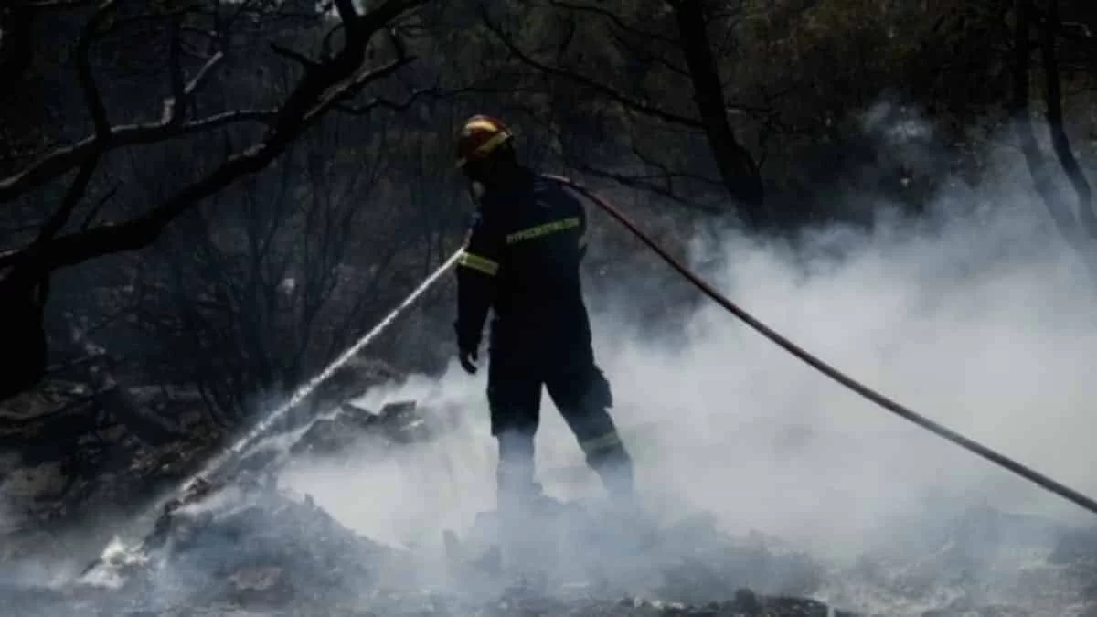 Φωτιά στο Μάζι Βοιωτίας