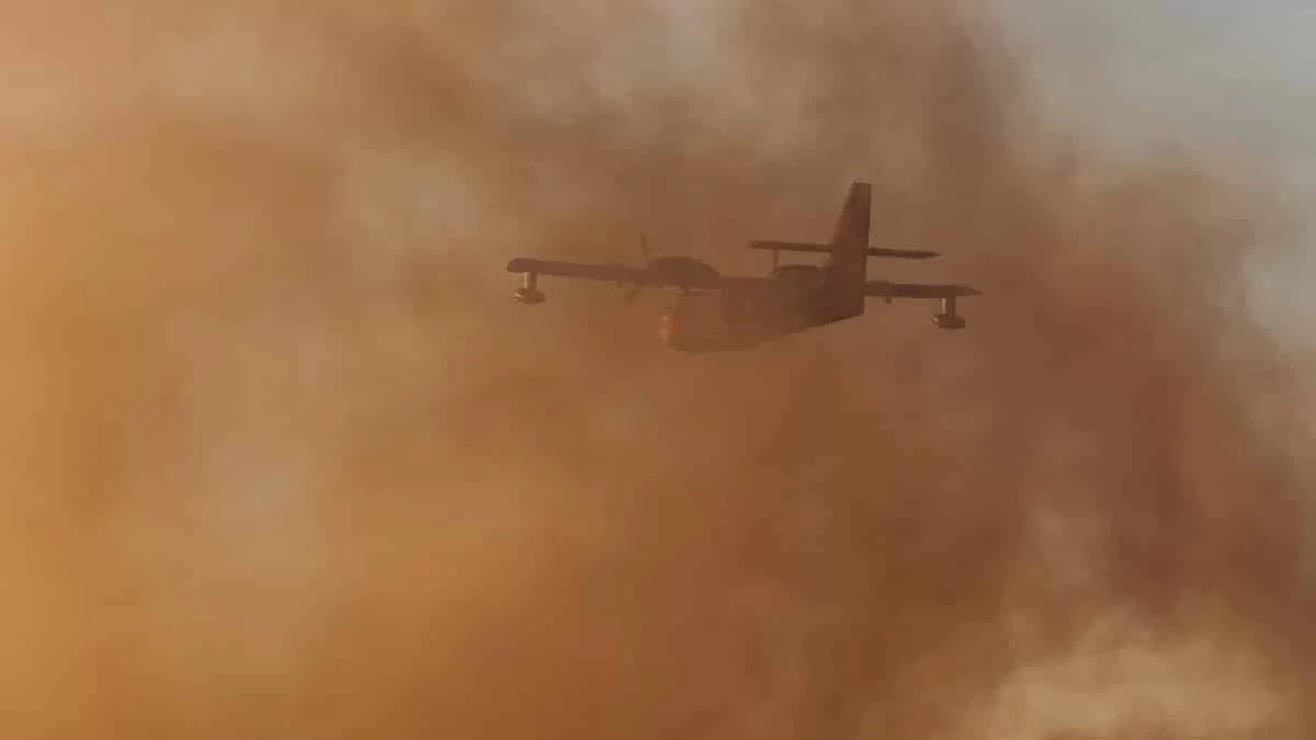 Φωτιά στα Μέγαρα: Πυροσβέστες του έσωσαν το σπίτι και συγκίνησαν με το σημείωμα "συγγνώμης"