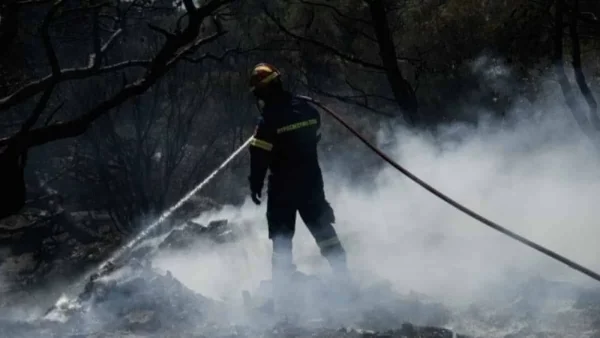Φωτιά στη Σαλαμίνα: Ξέσπασαν τρεις πυρκαγιές ταυτόχρονα -Στάλθηκε μήνυμα 112 για εκκένωση κατοίκων