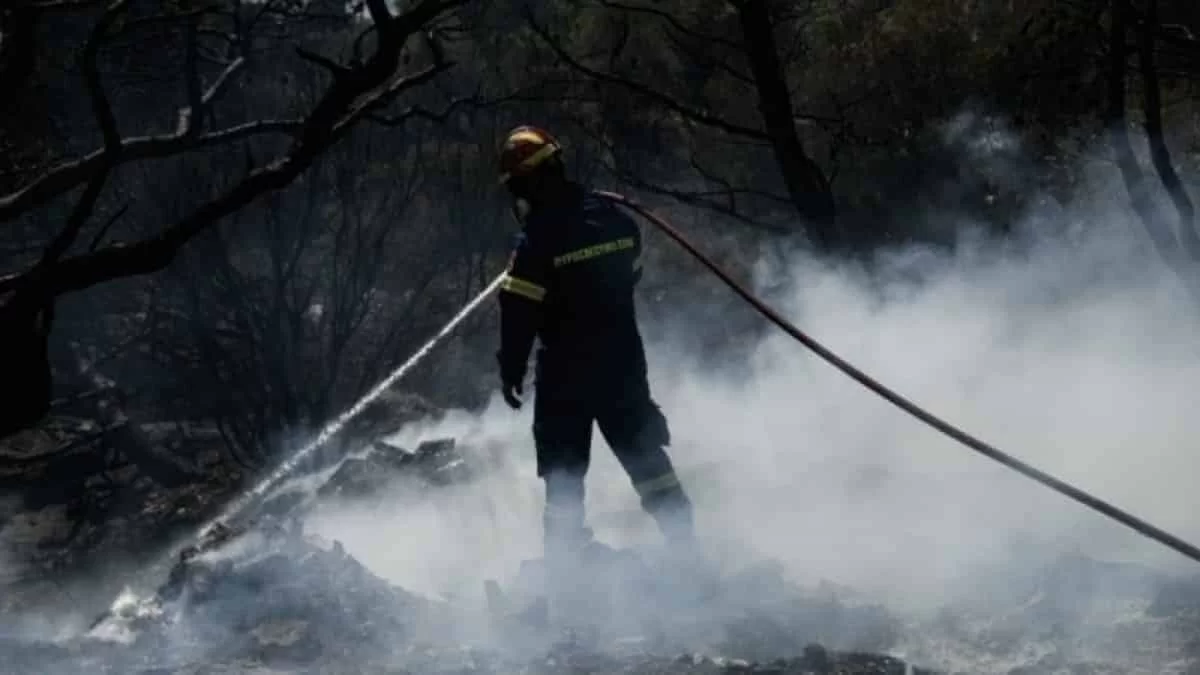 Φωτιά στη Σαλαμίνα: Ξέσπασαν τρεις πυρκαγιές ταυτόχρονα -Στάλθηκε μήνυμα 112 για εκκένωση κατοίκων