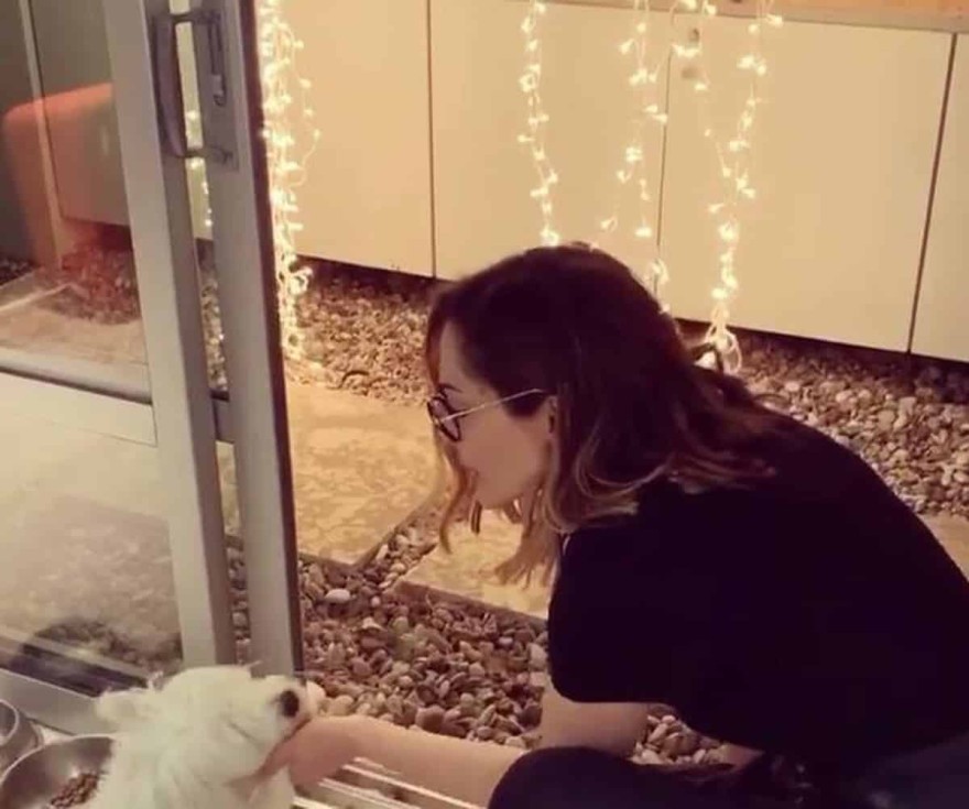 Δέσποινα Βανδή