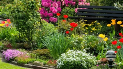 Μπορεί να προκαλέσει μέχρι και τοξική δηλητηρίαση - Το φυτό που υπάρχει σε όλα τα σπίτια κι είναι άκρως επικίνδυνο