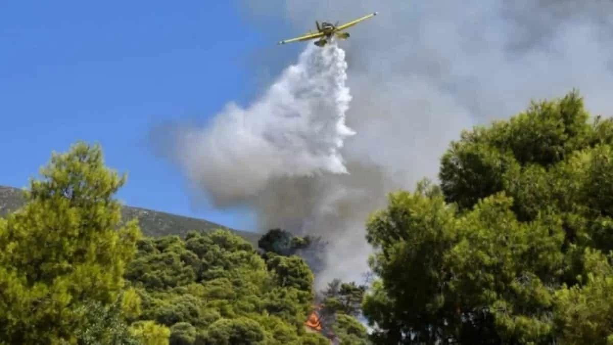 Φωτιά στο Κορωπί - Επιχειρούν εναέριες και επίγειες δυνάμεις