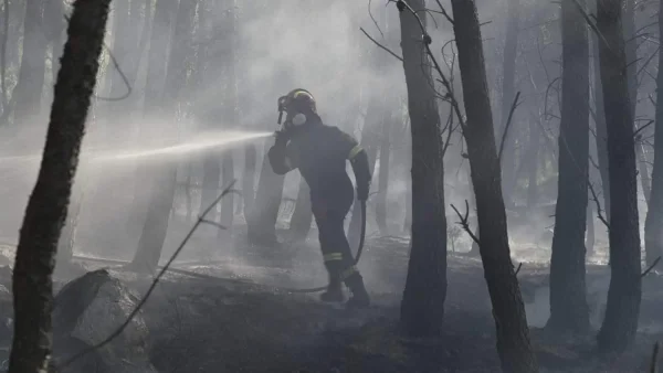 Φωτιά στην Παλλήνη τα ξημερώματα - Η ανακοίνωση της Πυροσβεστικής