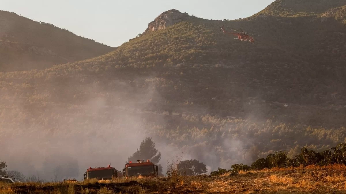 Φωτιά Πεντέλη: «Έλεος» - Έξαλλοι οι Έλληνες διάσημοι με τους εμπρηστές