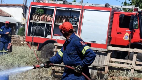Φωτιά στην Ελάτεια Φθιώτιδας