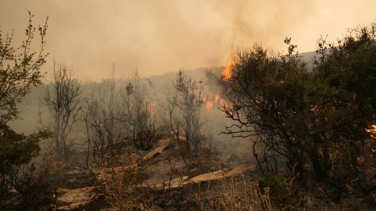 Φωτιά καίει το νότιο κομμάτι της Αλβανίας - Κινδυνεύουν συνορεύοντα ελληνικά χωριά