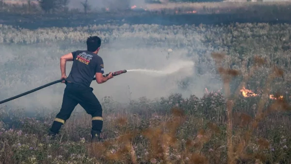 Φωτιά τώρα στην Ηλεία