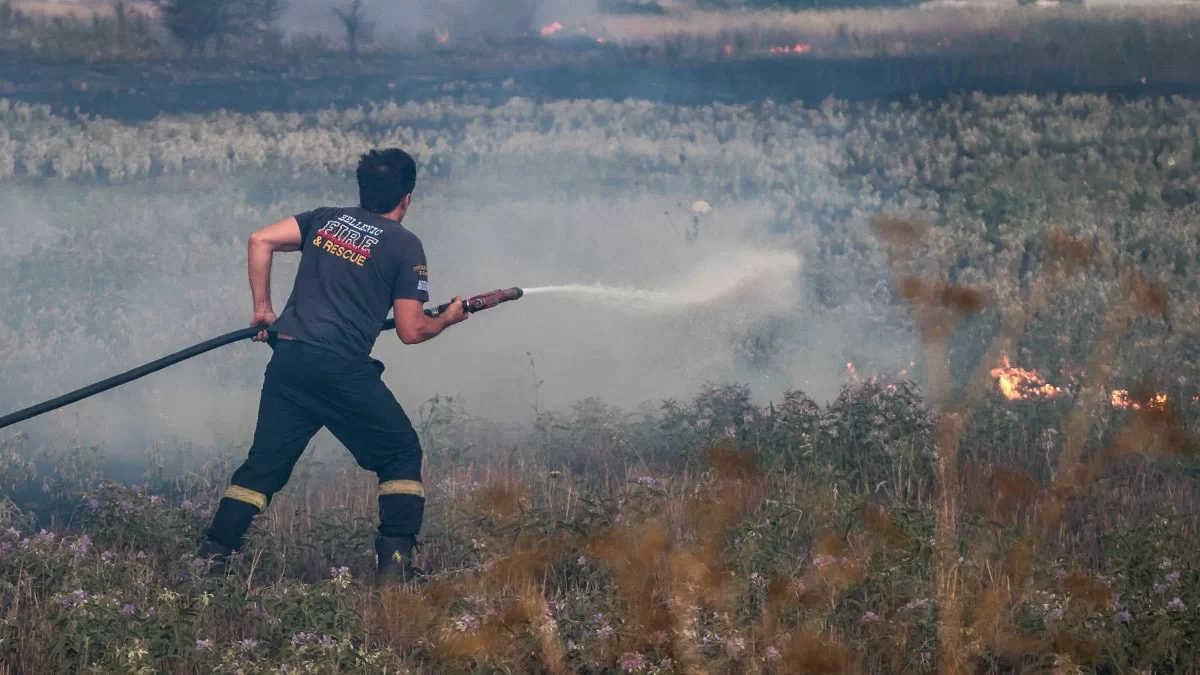 Φωτιά τώρα στην Ηλεία