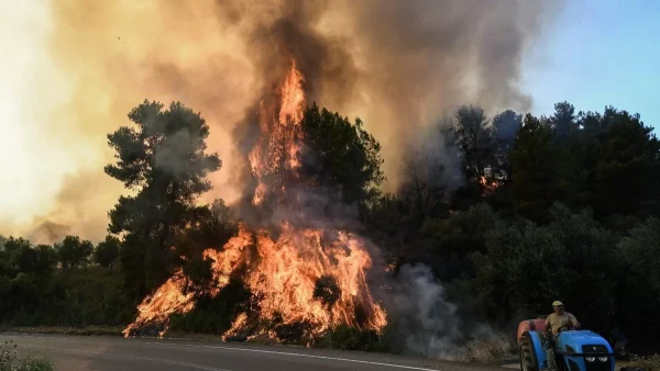 Ανεξέλεγκτη η μεγάλη πυρκαγιά στην Κρέστενα - Δίνεται μάχη για να μην καούν σπίτια