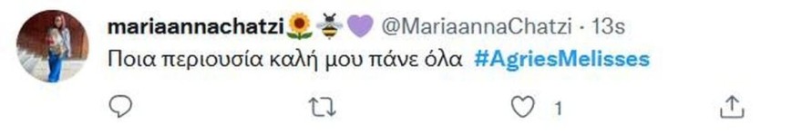 Άγριες Μέλισσες - Μυρσίνη