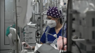 Εύβοια: 6χρονος νοσηλεύεται στη ΜΕΘ - Δαγκώθηκε από ροτβάιλερ