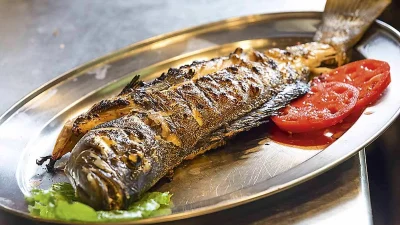 Το πιο ωραίο ψαράκι στην παραλία - Που θα το βρείτε