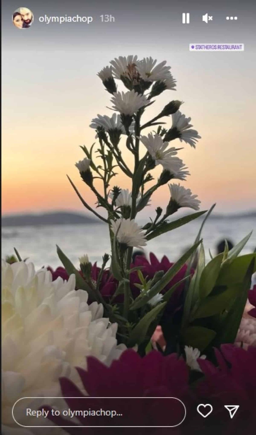 Ανάρτηση Χοψονίδου