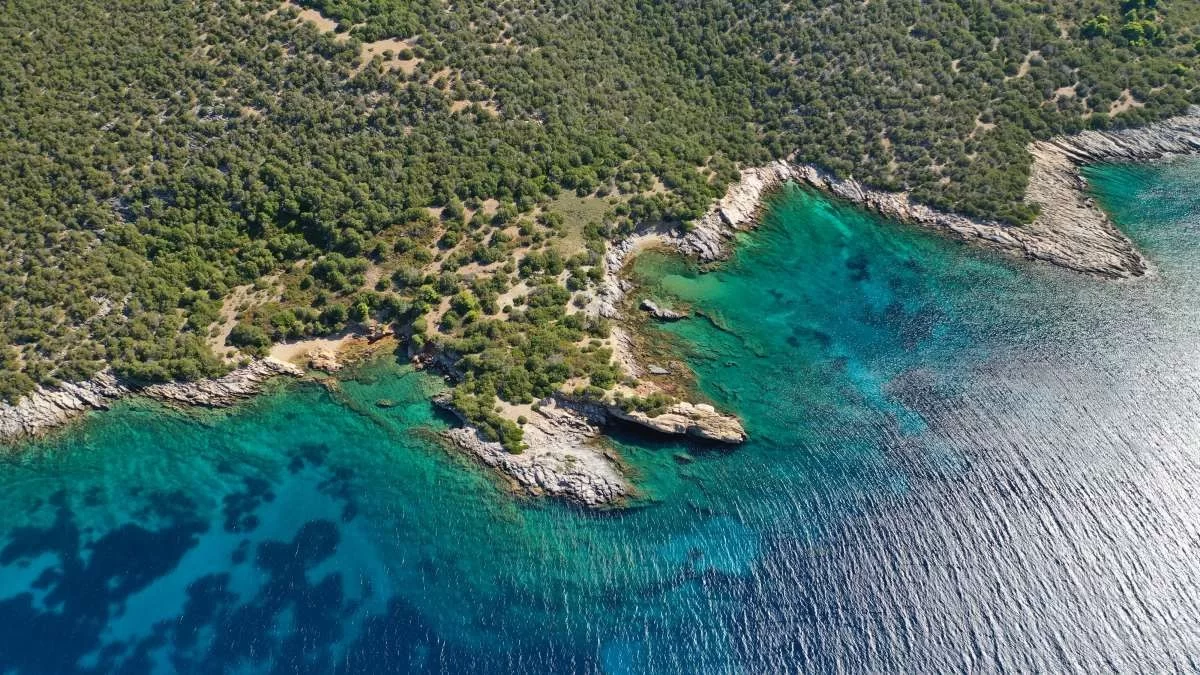 Ο "κρυμμένος" τιρκουάζ παράδεισος στην Ν. Εύβοια - Με κρυστάλλινα νερά και πλούσια βλάστηση