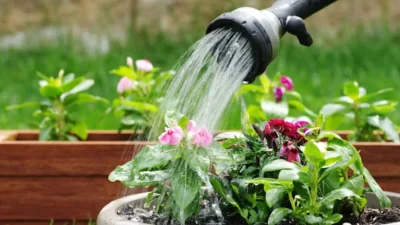 Χρειάζεσαι μόνο 2 πράγματα - Έτσι θα ποτίζεις τα φυτά όσο λείπεις διακοπές