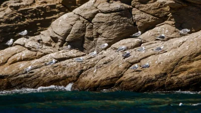 Βόλος: 9χρονο παιδί έπεσε από βράχια