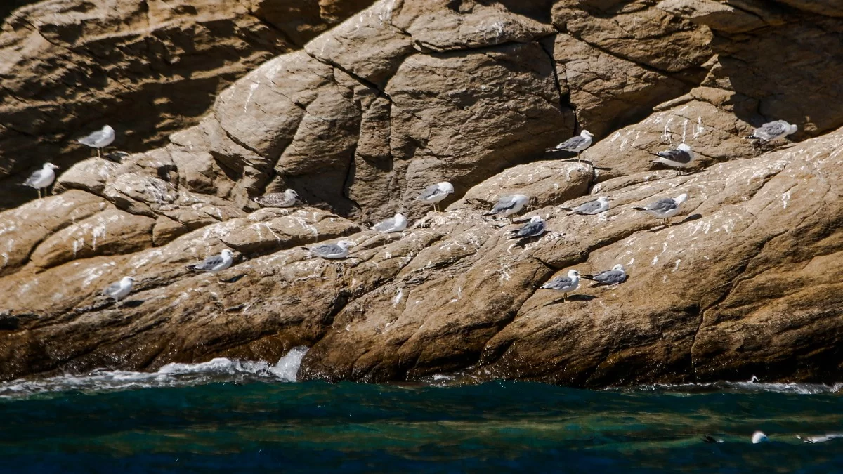 Βόλος: 9χρονο παιδί έπεσε από βράχια