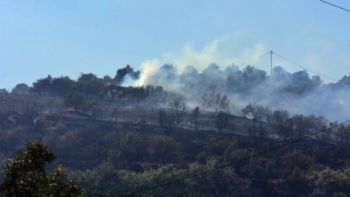 Φωτιά στο δάσος Σέιχ Σου στη Θεσσαλονίκη