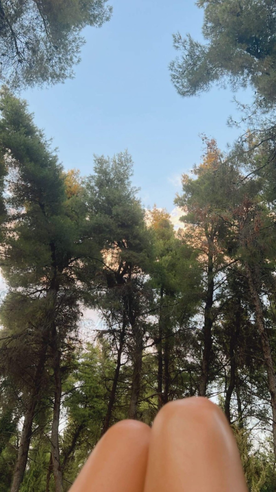 Φαίη Σκορδά - Εξοχικό Χαλκιδική