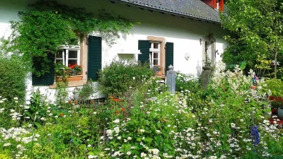 Προκαλεί απώλεια μαλλιών, αιμορραγικές διαταραχές και νεφρική βλάβη αν... - Το φυτό που δεν πρέπει να έχεις σπίτι σου