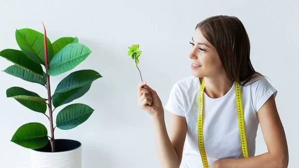 Τέλος στις εξαντλητικές δίαιτες: Με αυτό το φυτό θα δεις διαφορά στο σώμα σου μέσα σε λίγες μέρες