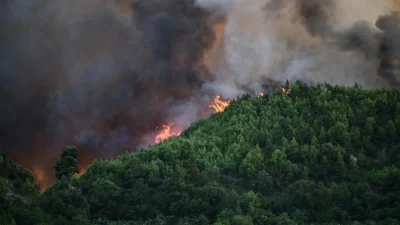 Φωτιά σε δασική έκταση στον Πύργο Ηλείας