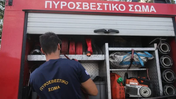 Φωτιά στην Εύβοια - Στις φλόγες οι Ραπταίοι