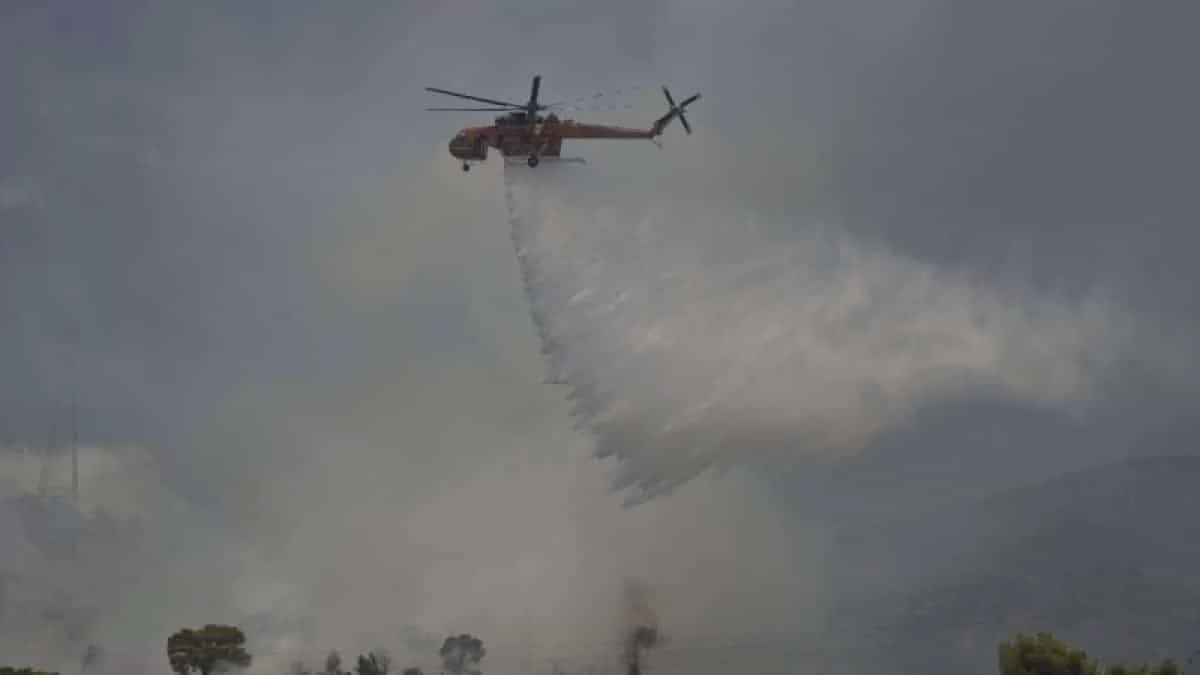 Φωτιά κοντά στο Γενικό Νοσοκομείο της Χαλκίδας
