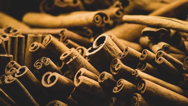 Πασπαλίστε λίγη κανέλα και... - Έτσι θα ξεφορτωθείτε σε μαγικό χρόνο την μυρωδιά υγρασίας από το σπίτι σας