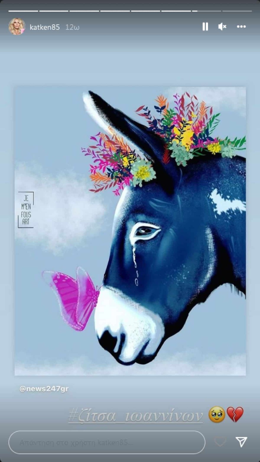 Κατερίνα Καινούργιου - γάιδαρος