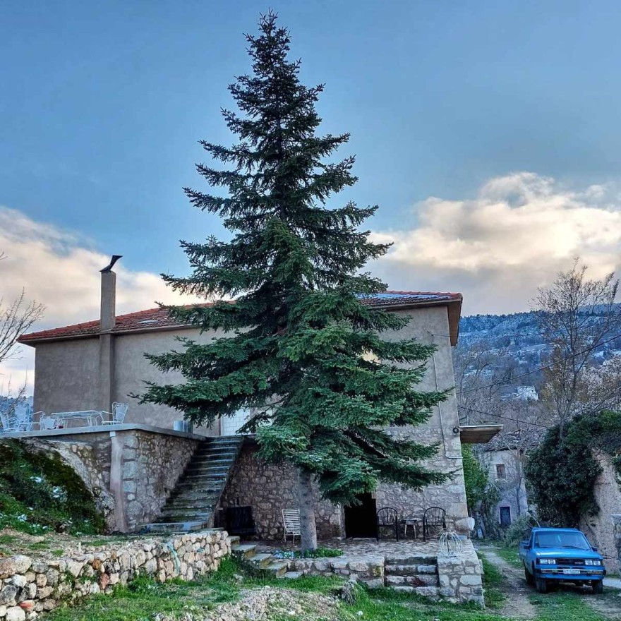 Το εξοχικό της Μαρίας Λεκάκη